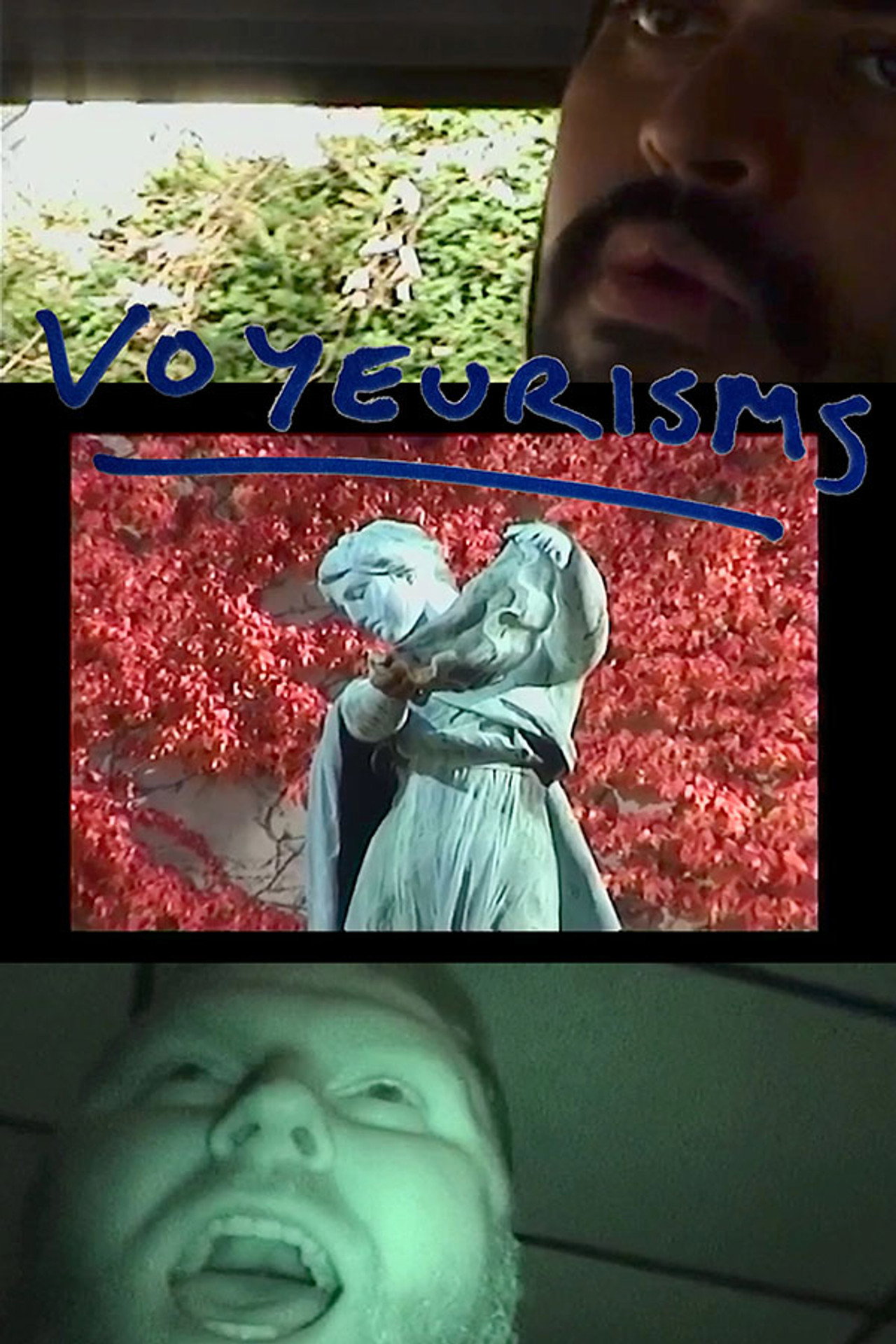 Voyeurisms filmaffisch