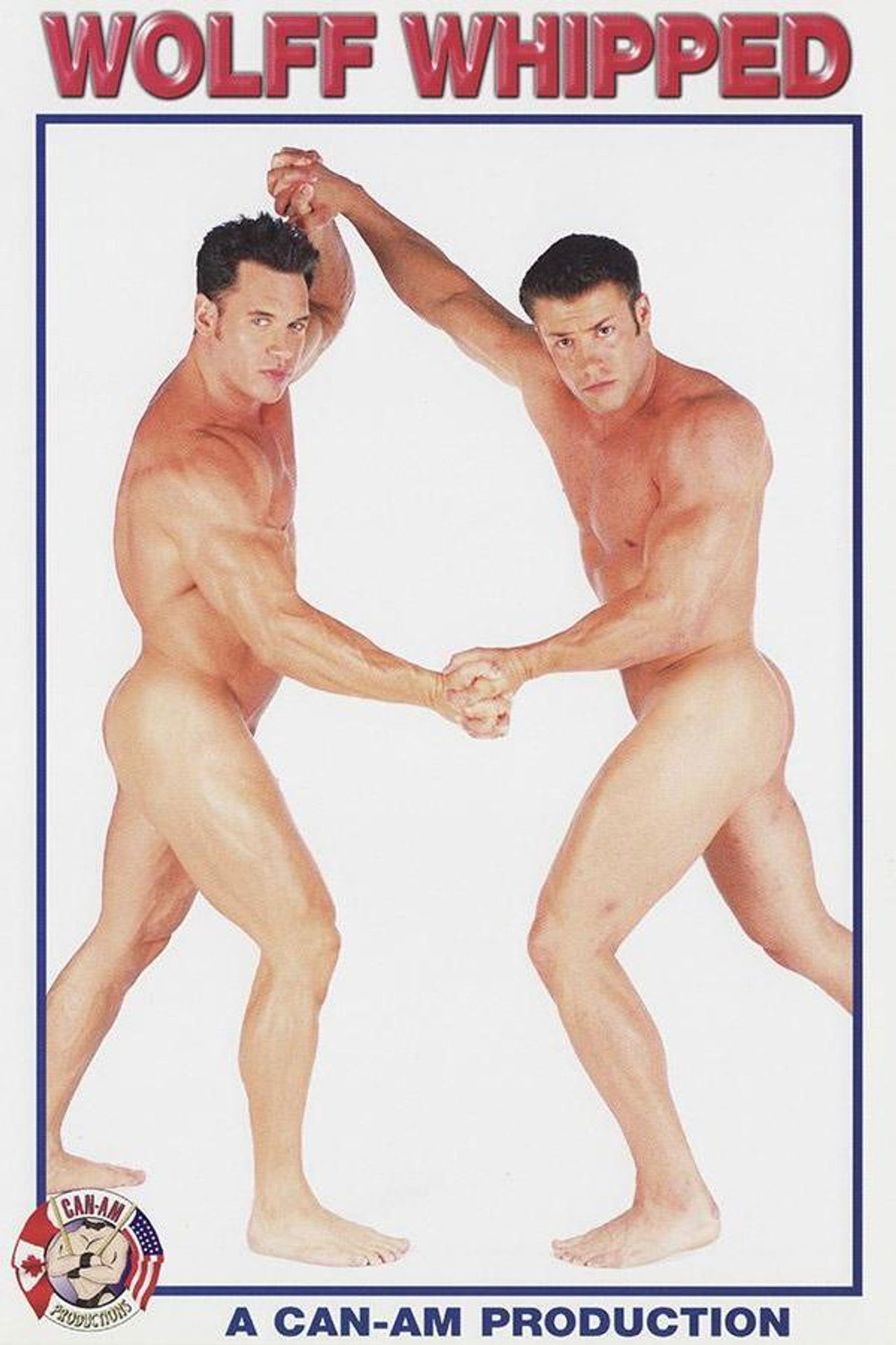 WOLFF WHIPPED Backdrop