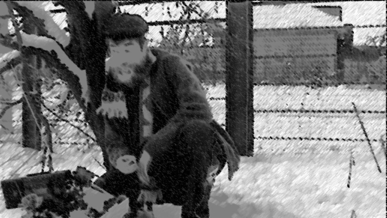 The Man Who Loved Flowers