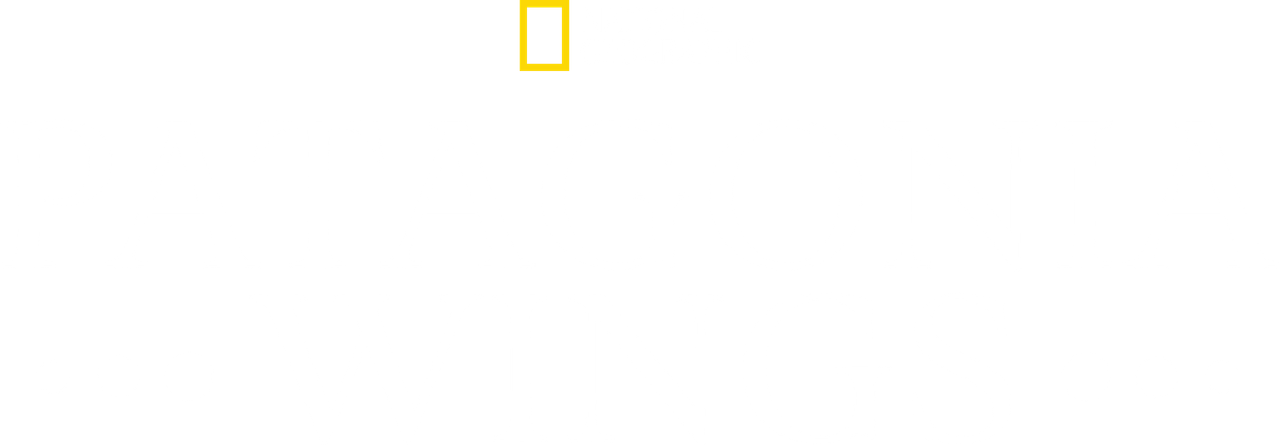 Patagonia Wings