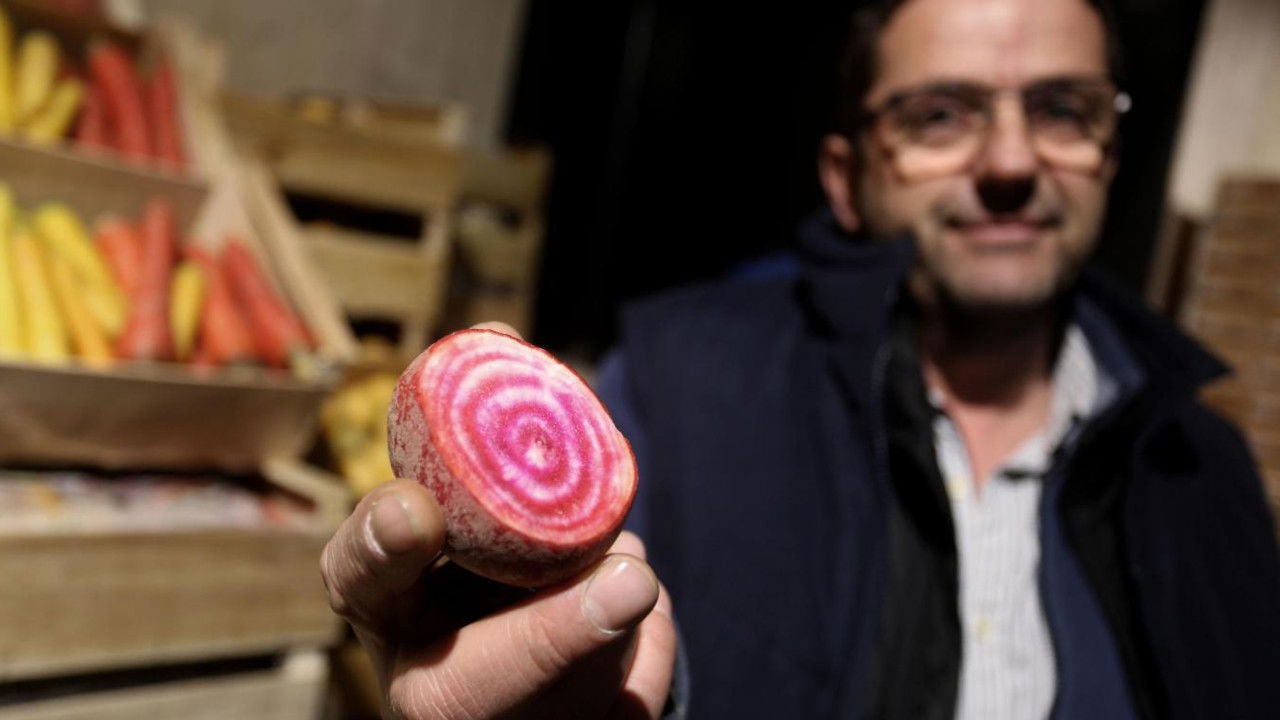 66 minutes — Lomme : le ch'ti Rungis