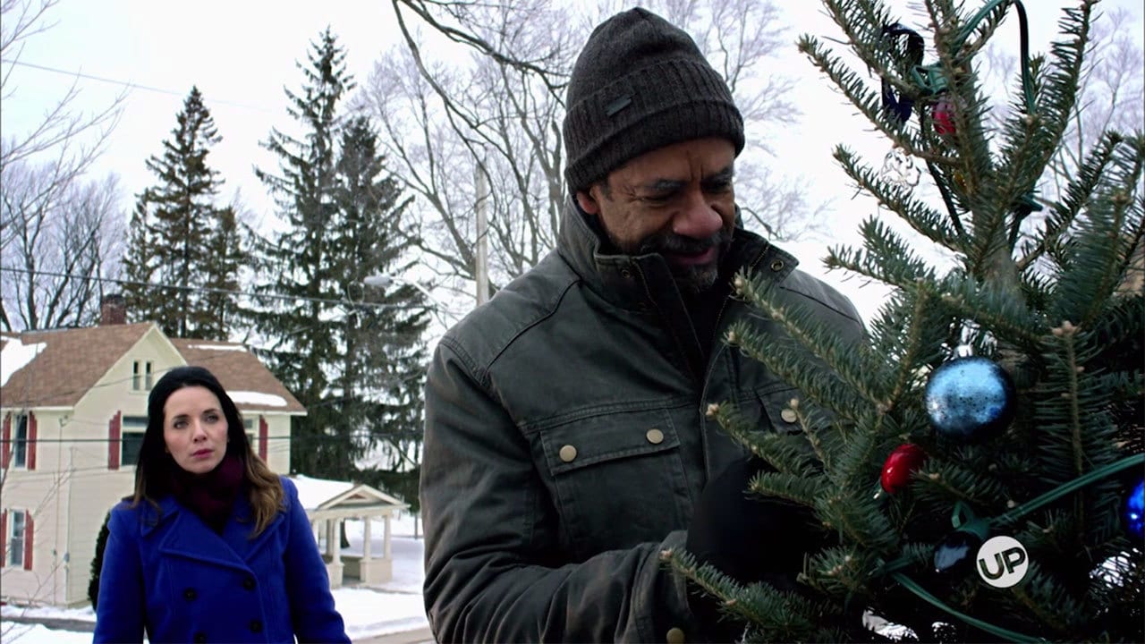 ნაძვის ხე სახურავზე / The Rooftop Christmas Tree