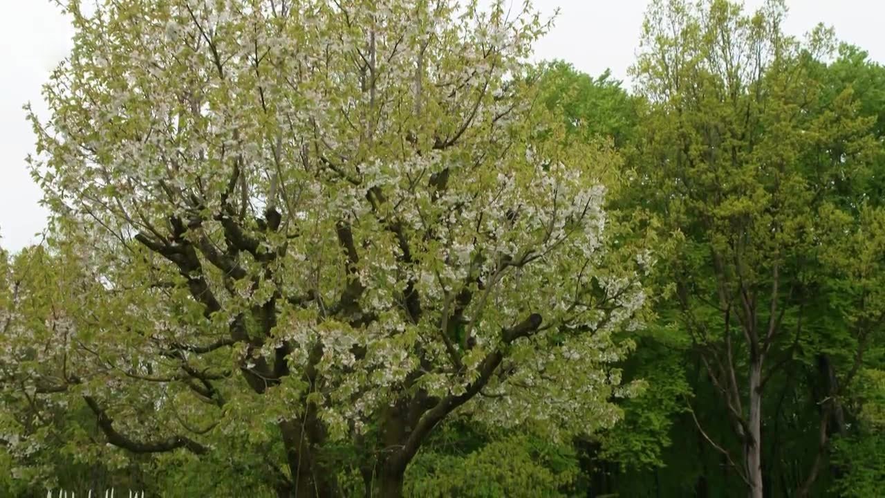 Natur im Garten - Season 25 Episode 3 : Episode 3
