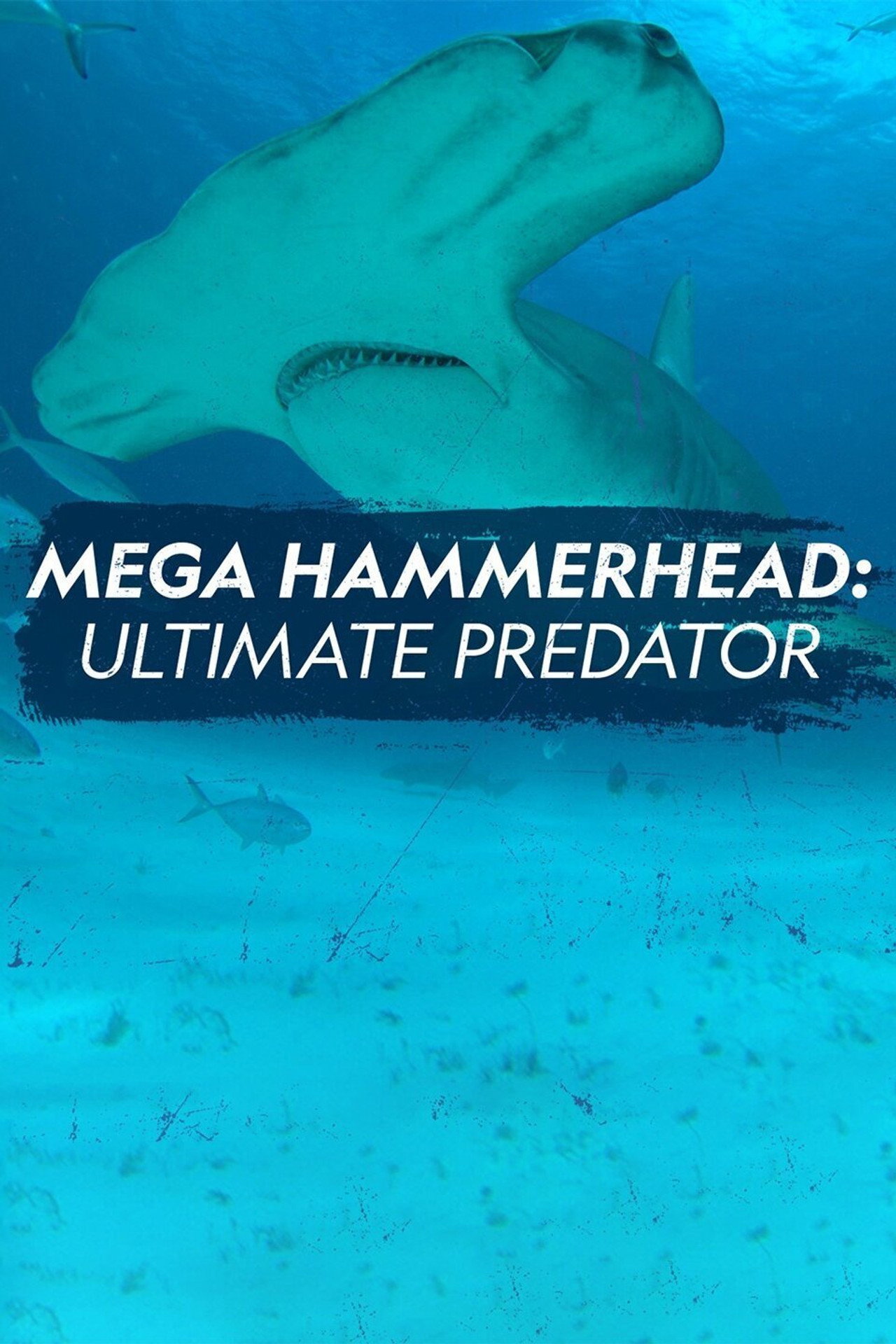 Mega Hammerhead: Ultimate Predator poster