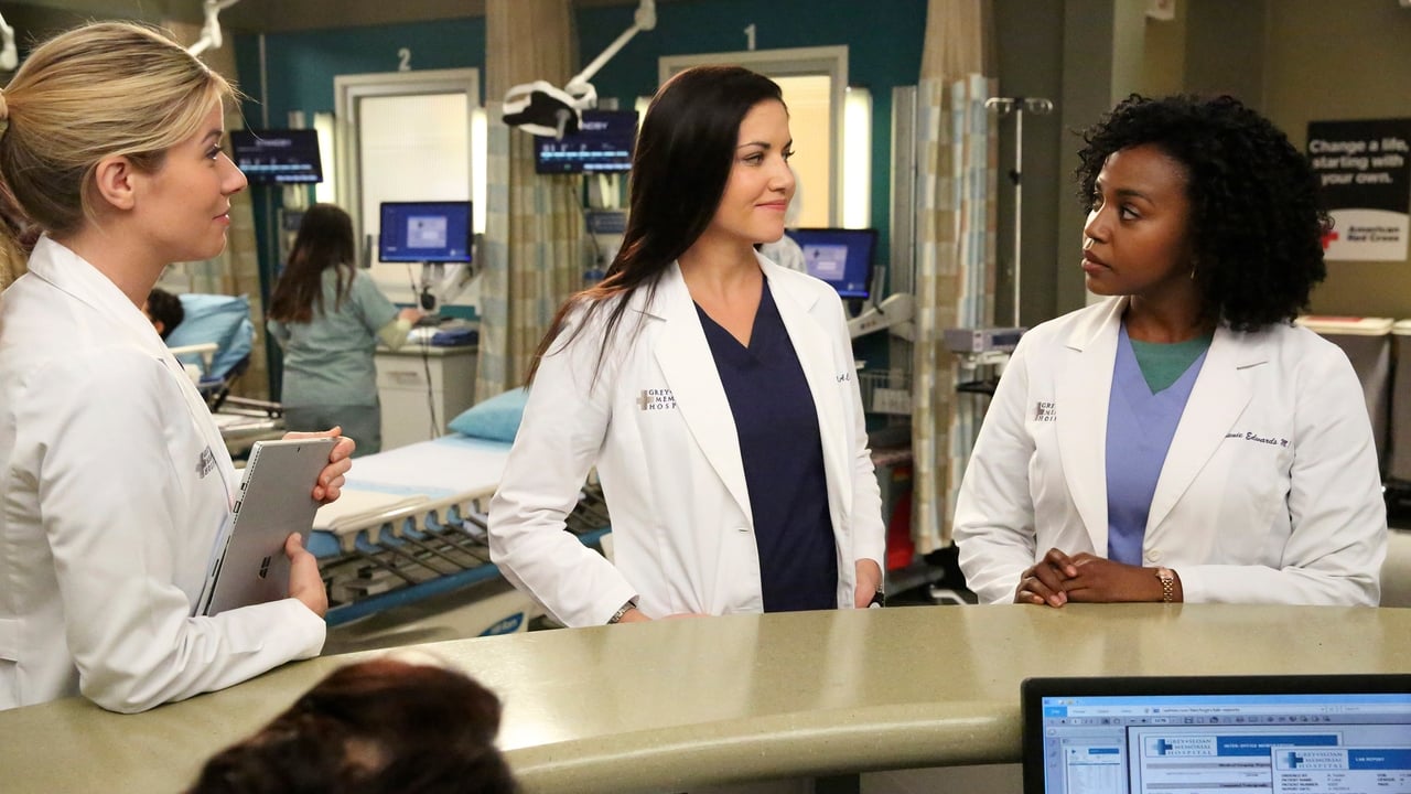 Grey's Anatomy - Season 13 Episode 13 : It Only Gets Much Worse