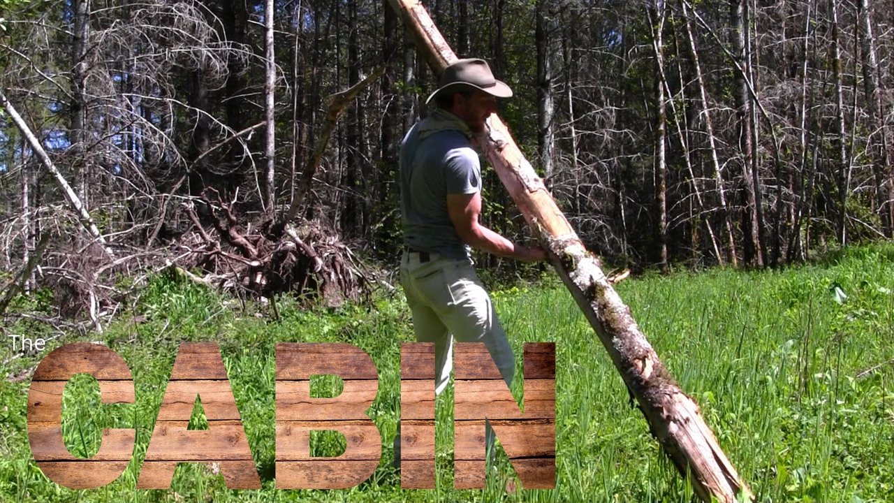 Structurally Sound