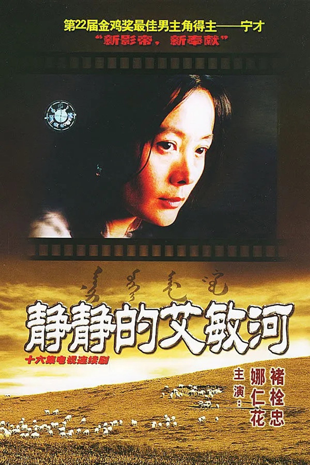 静静的艾敏河 affisch