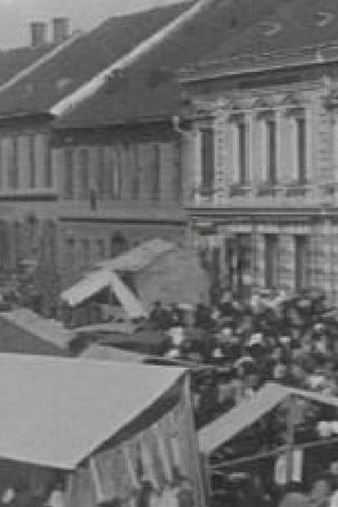 The Ljutomer Fair 1905