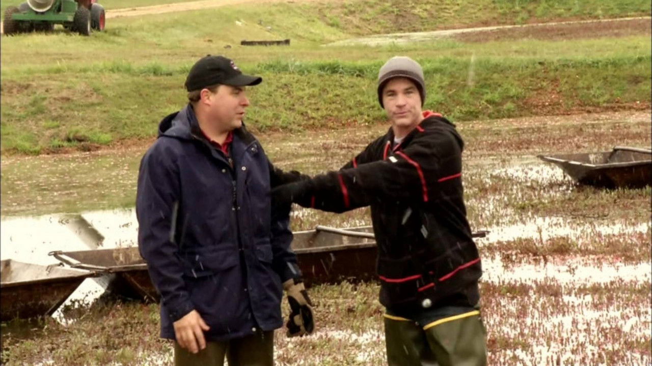 Curiosity Quest — Épisode 2