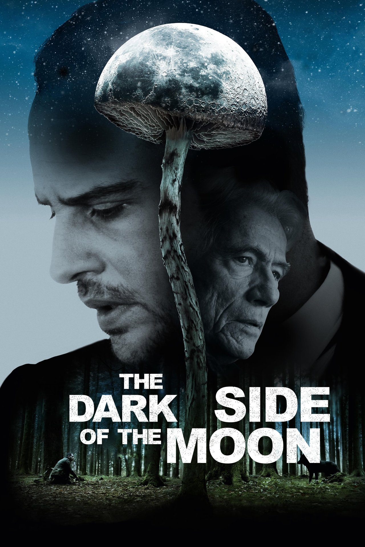 The Dark Side Of The Moon (2015)