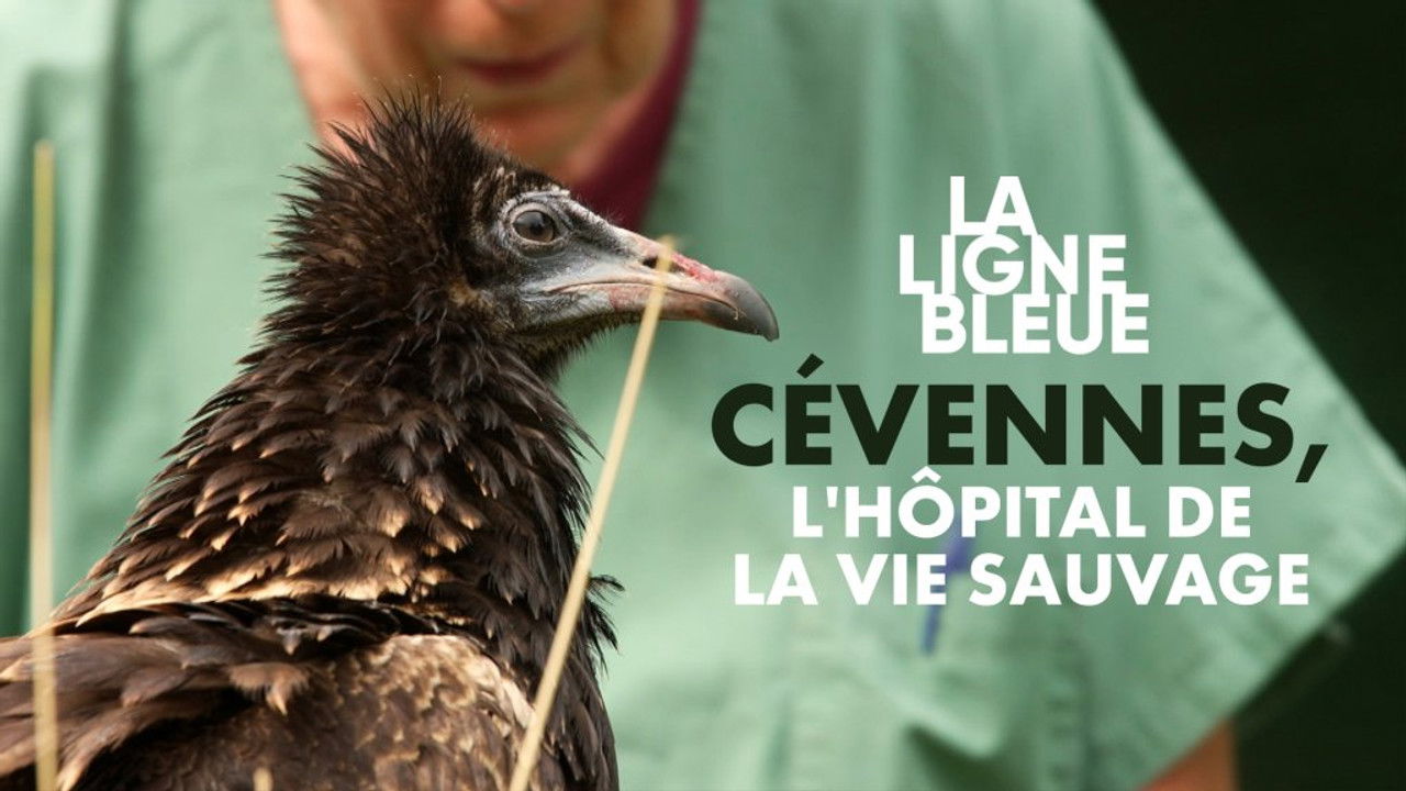 La Ligne Bleue — Cévennes, l'hôpital de la vie sauvage
