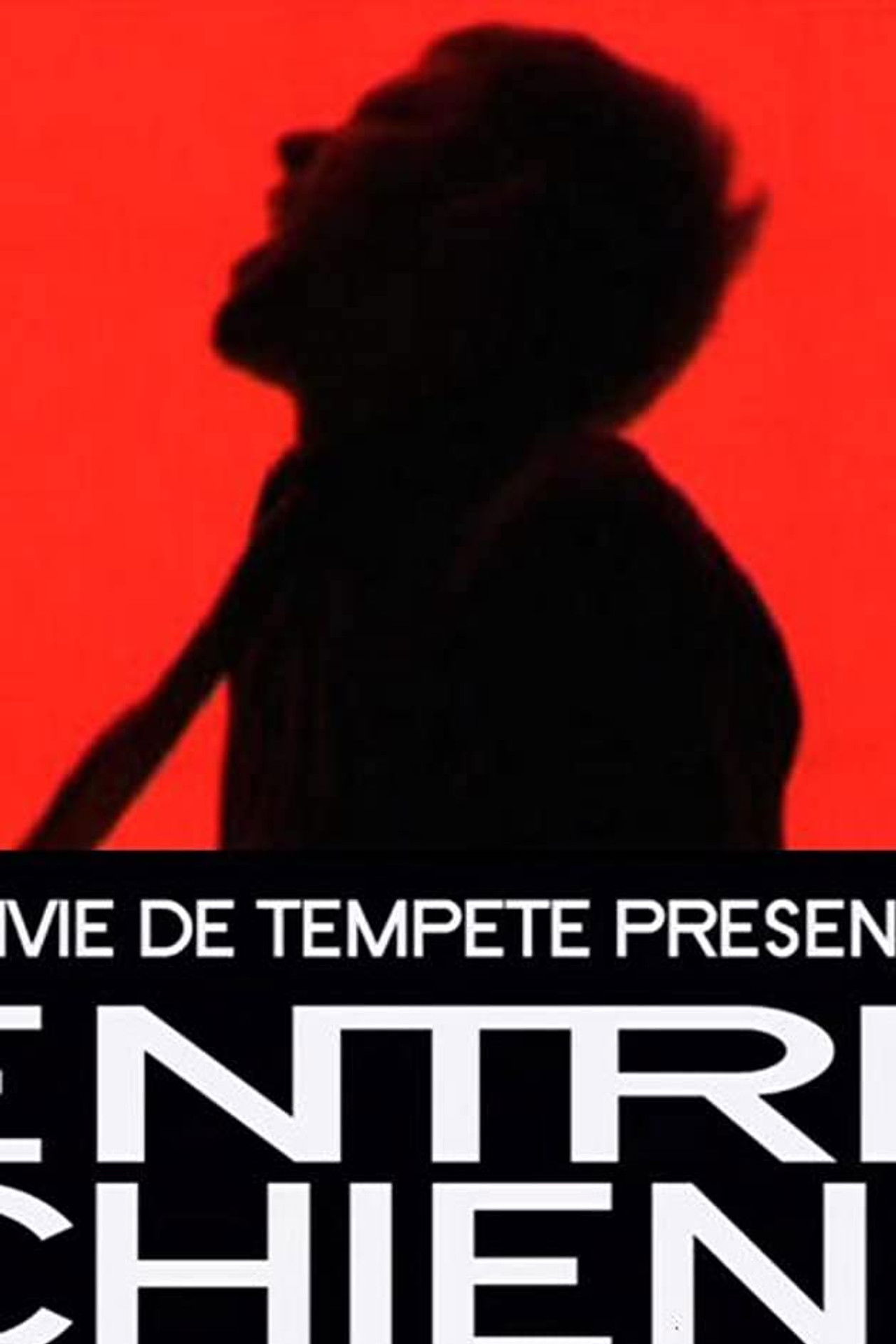 Between Dogs and Wolves Backdrop