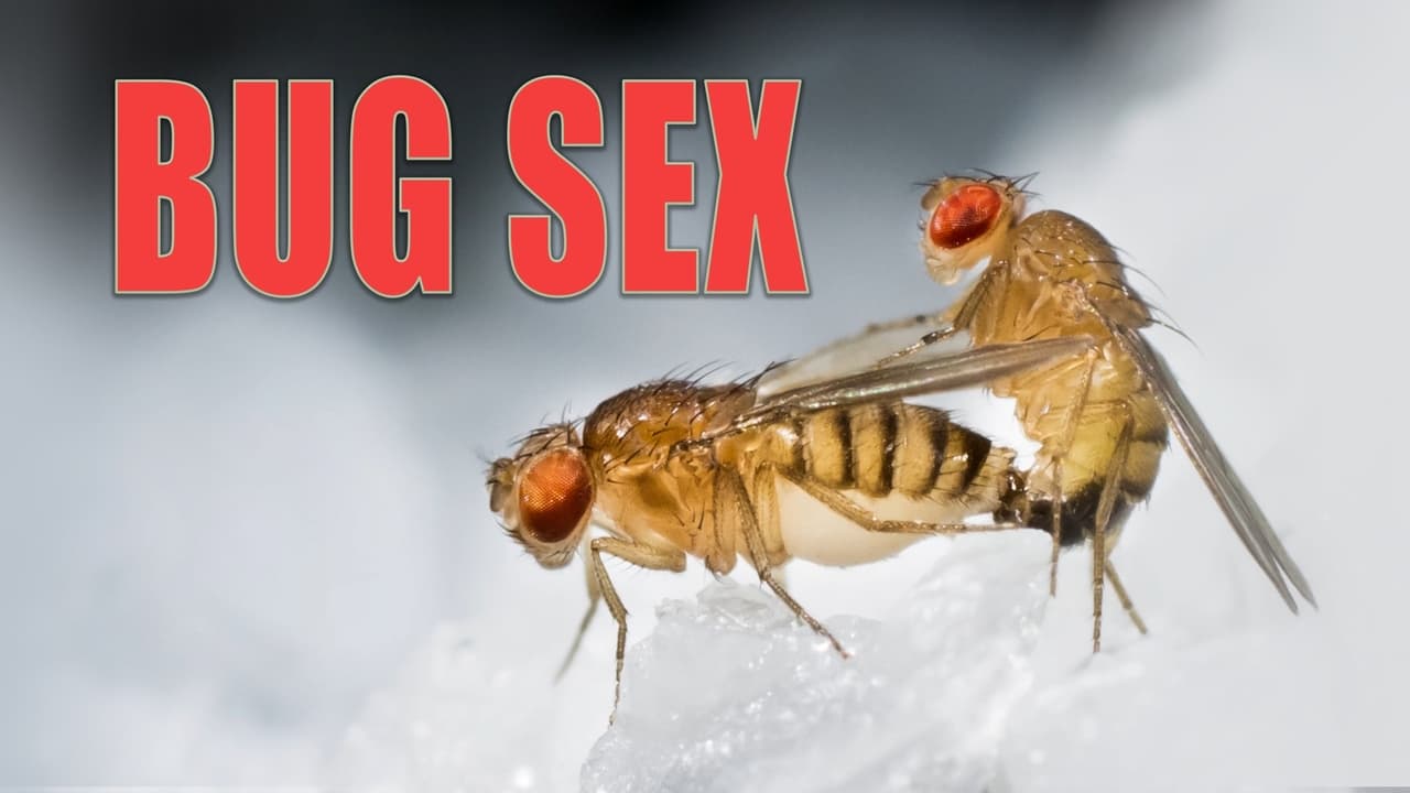 The Nature of Things - Season 62 Episode 9 : Bug Sex