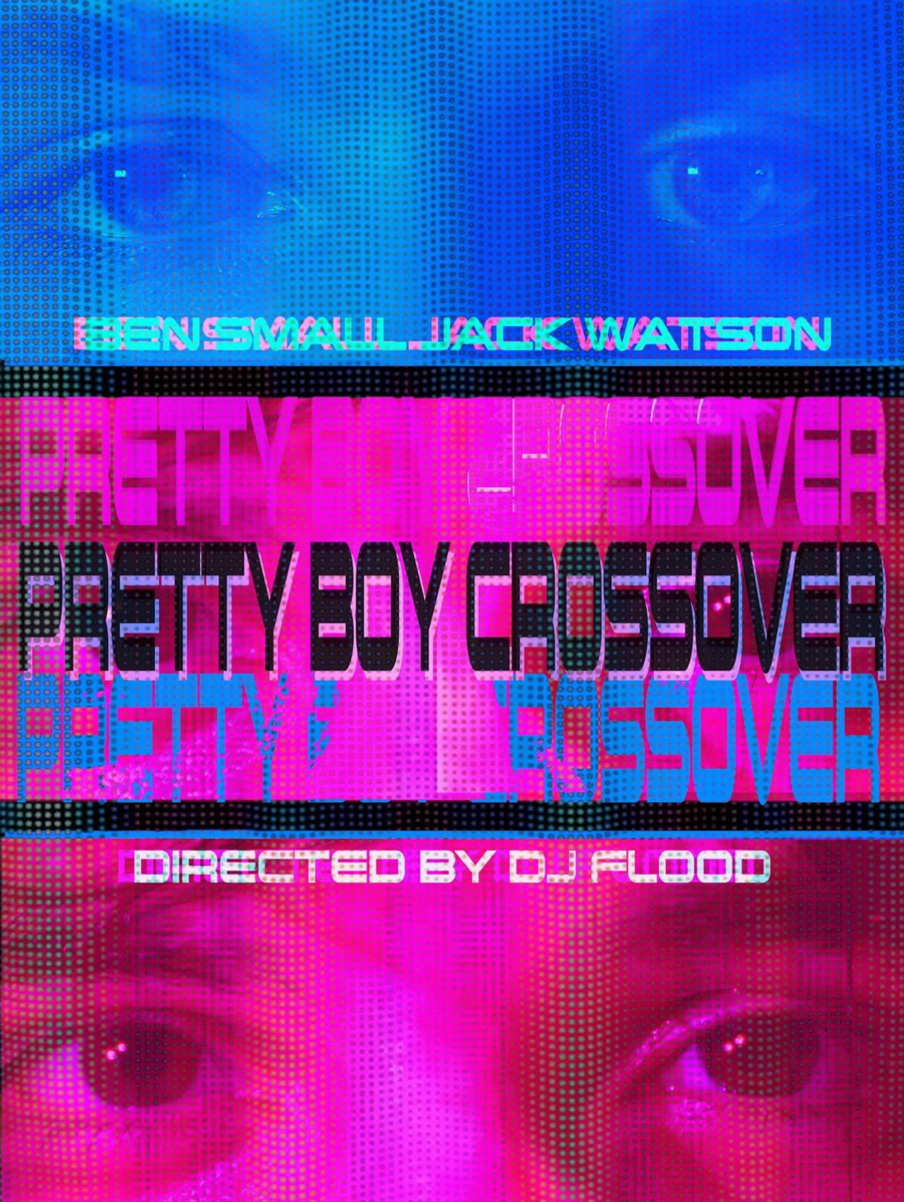 Pretty Boy Crossover filmaffisch