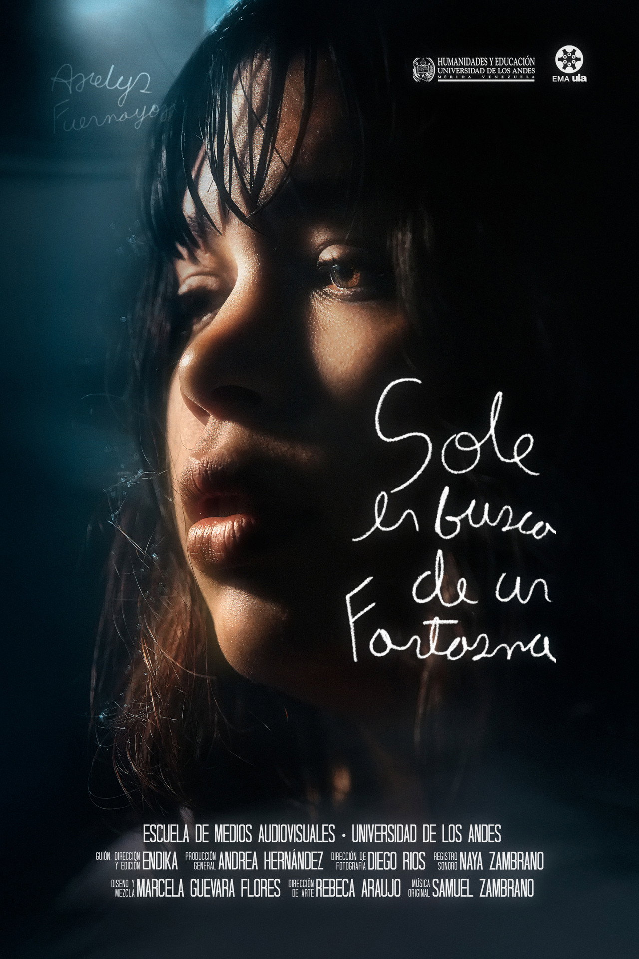 Sole En Busca De Un Fantasma poster