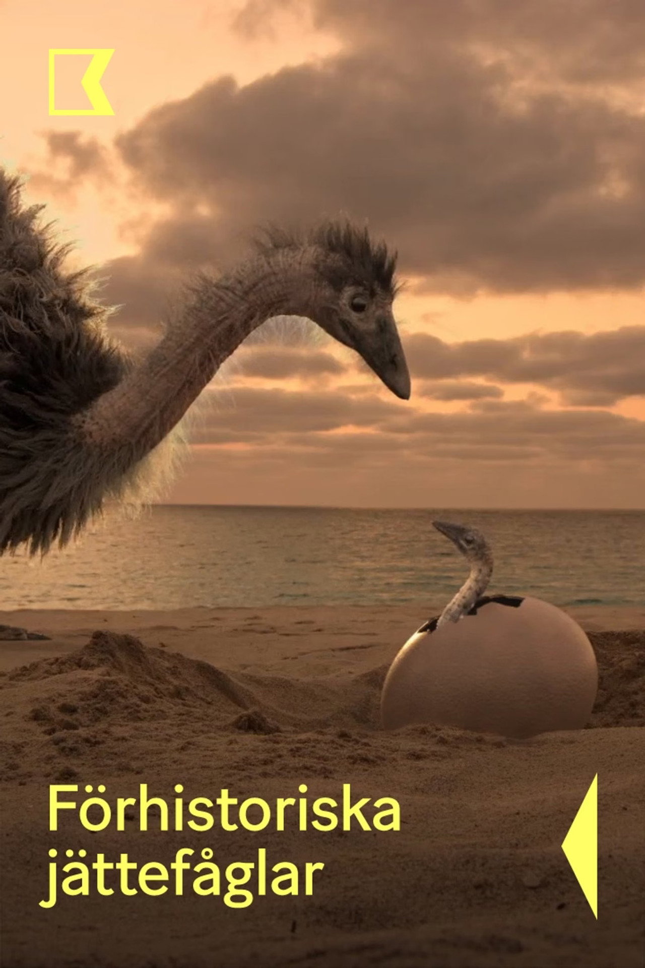 Förhistoriska jättefåglar filmaffisch