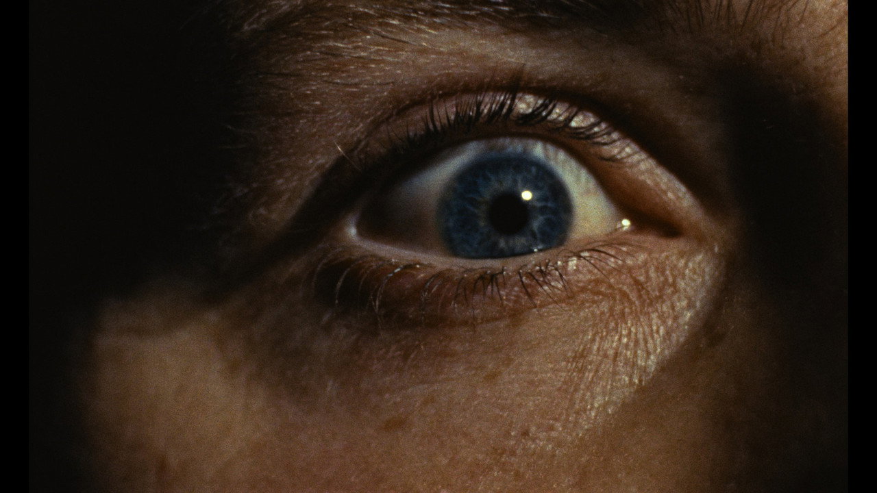 Peeping Tom background 35