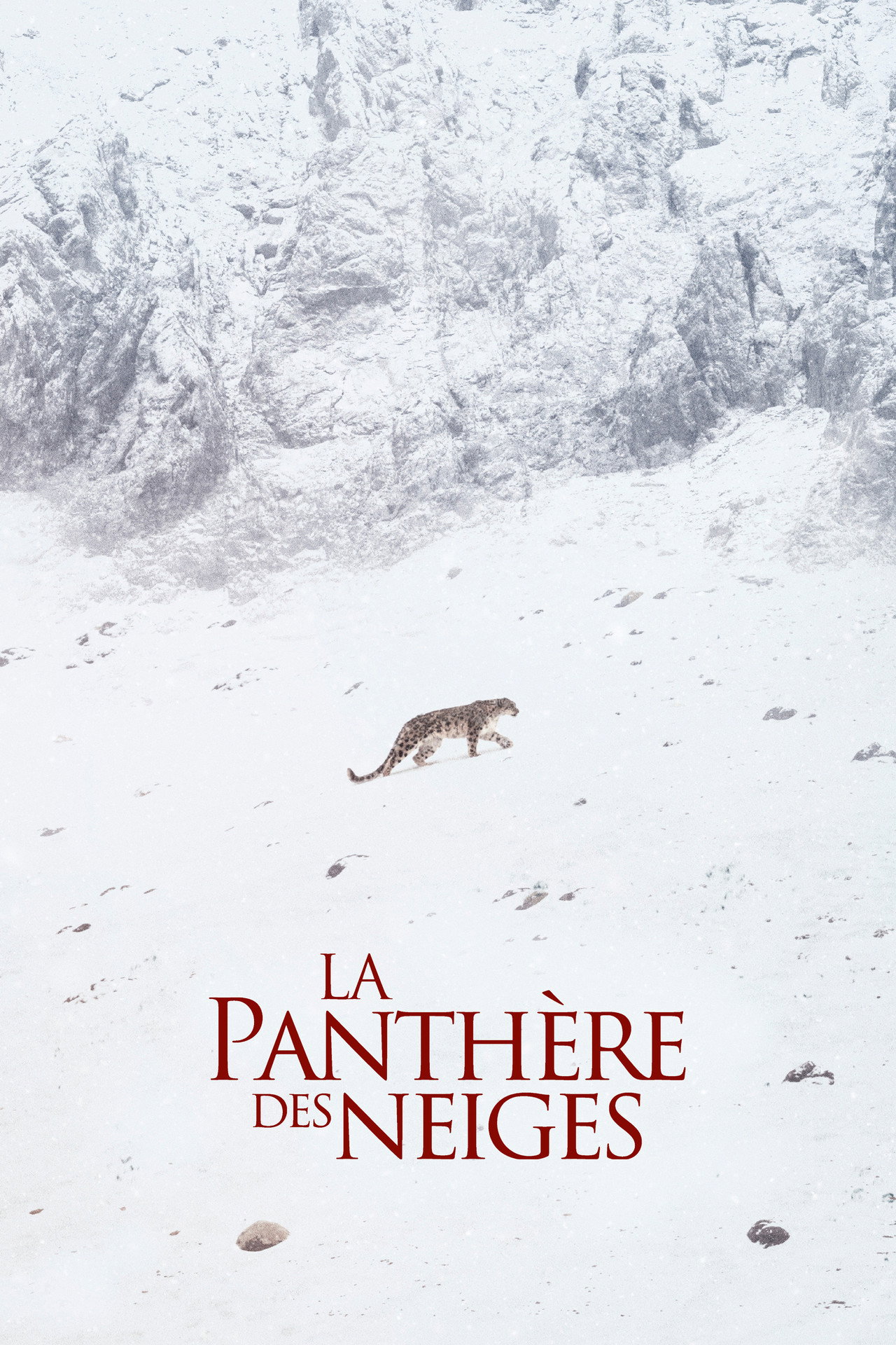 La Panthère des neiges poster