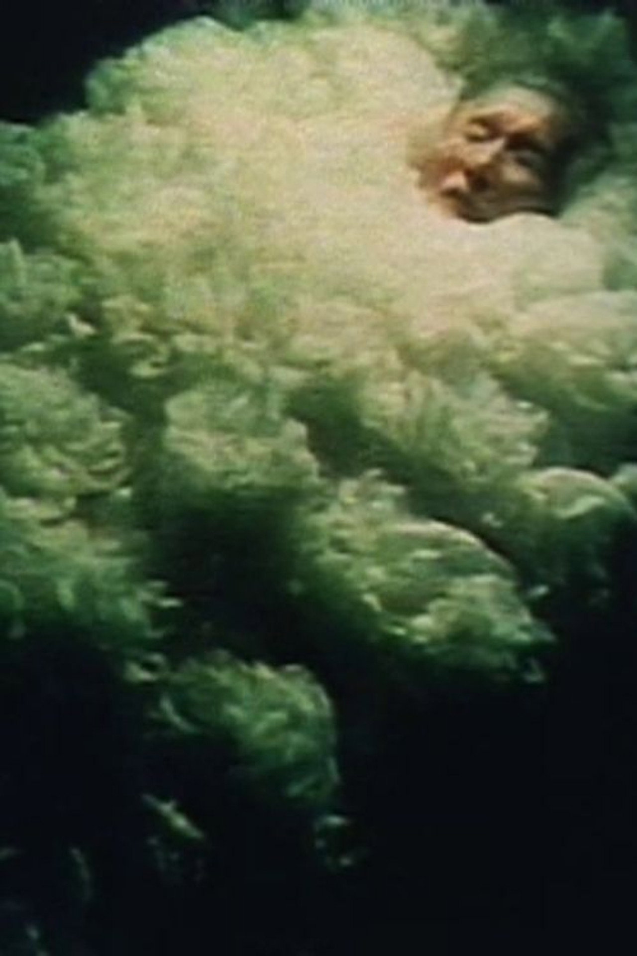 眠る花 filmaffisch