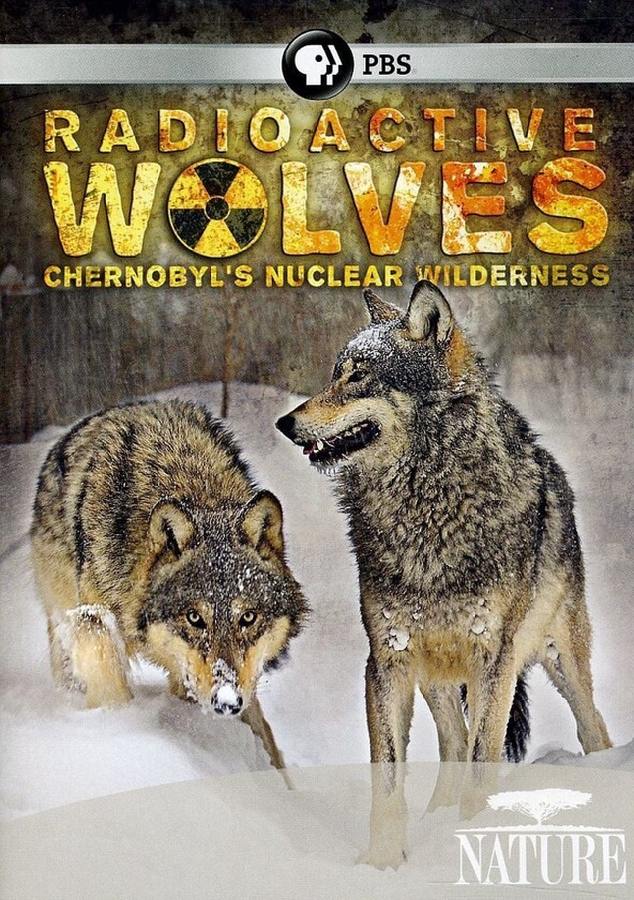 Universum: Radioaktive Wölfe