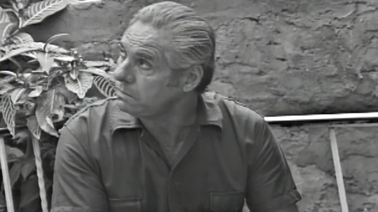 Anjo Mau — Épisode 29