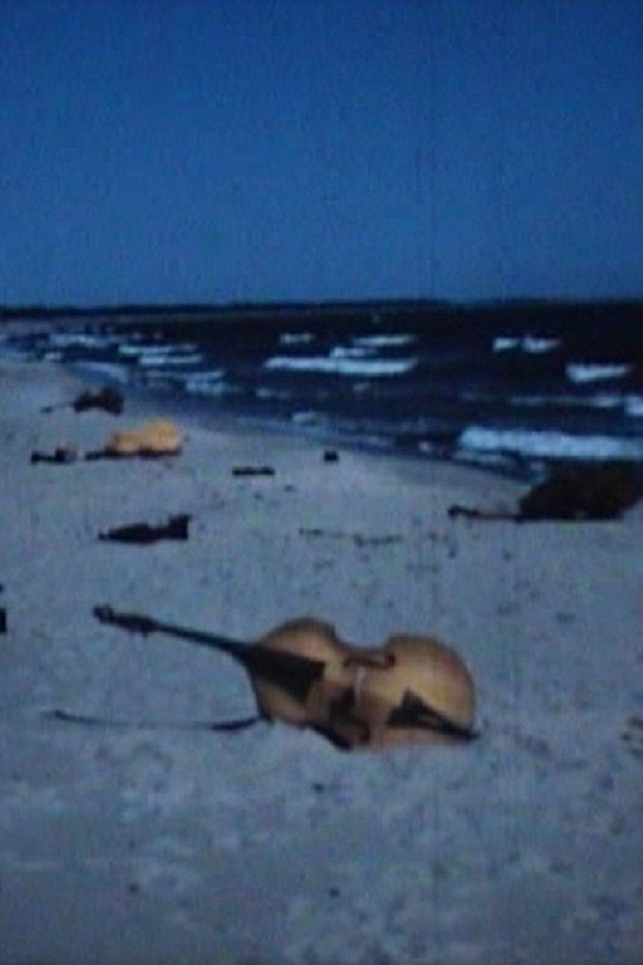 De förstenade basfiolerna filmaffisch