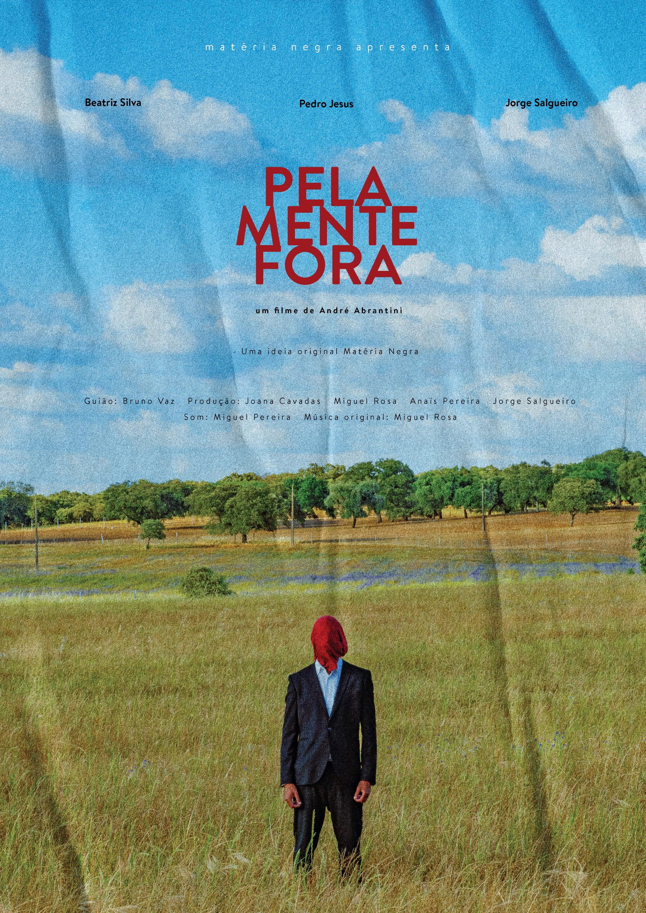 Pela Mente Fora filmaffisch
