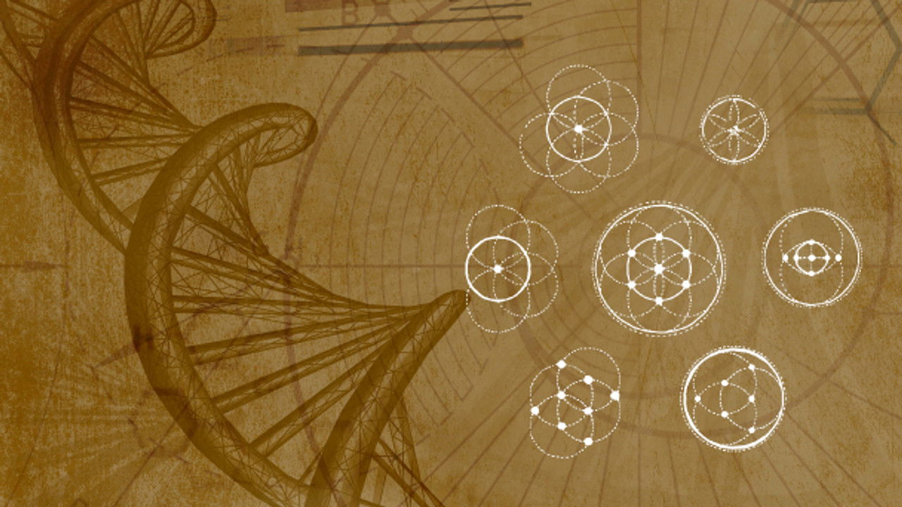 Inner Evolution — Épisode 12