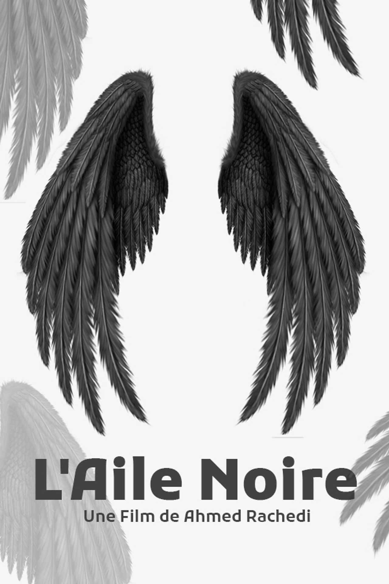 L'Aile Noire Backdrop