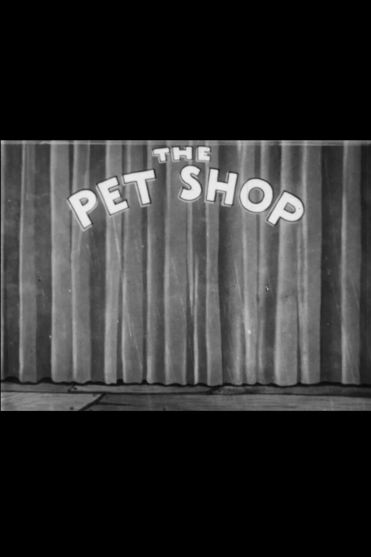The Pet Shop filmaffisch