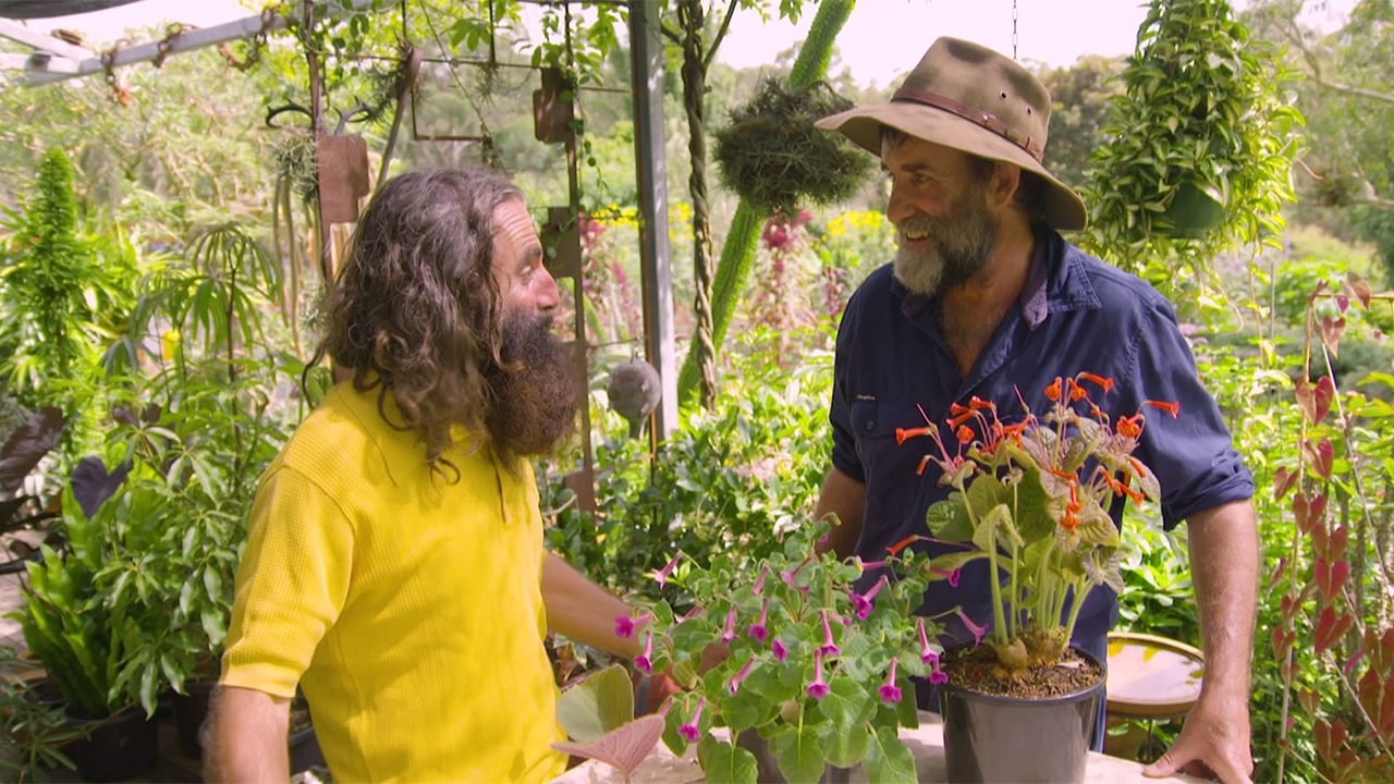 Gardening Australia - Season 30 Episode 14 : Episode 14