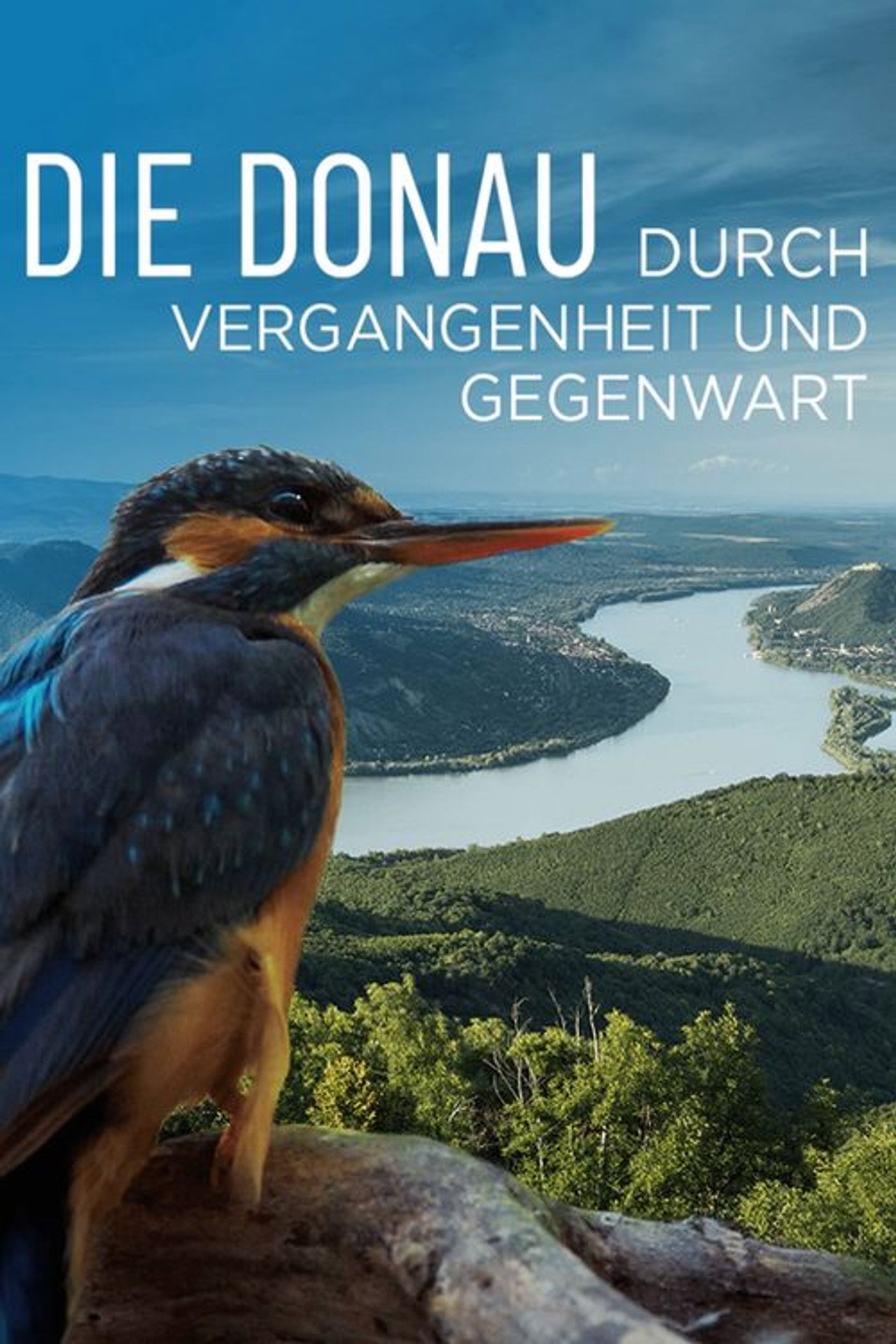Die Donau – Durch Vergangenheit und Gegenwart filmaffisch
