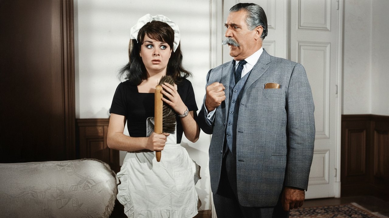 Hizmetçi Dediğin Böyle Olur