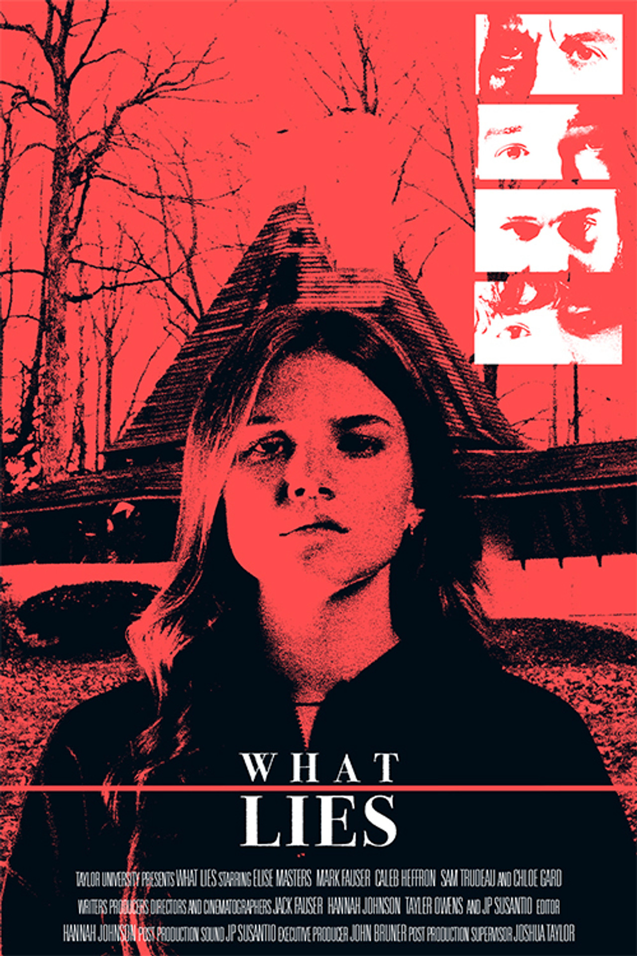 What Lies filmaffisch