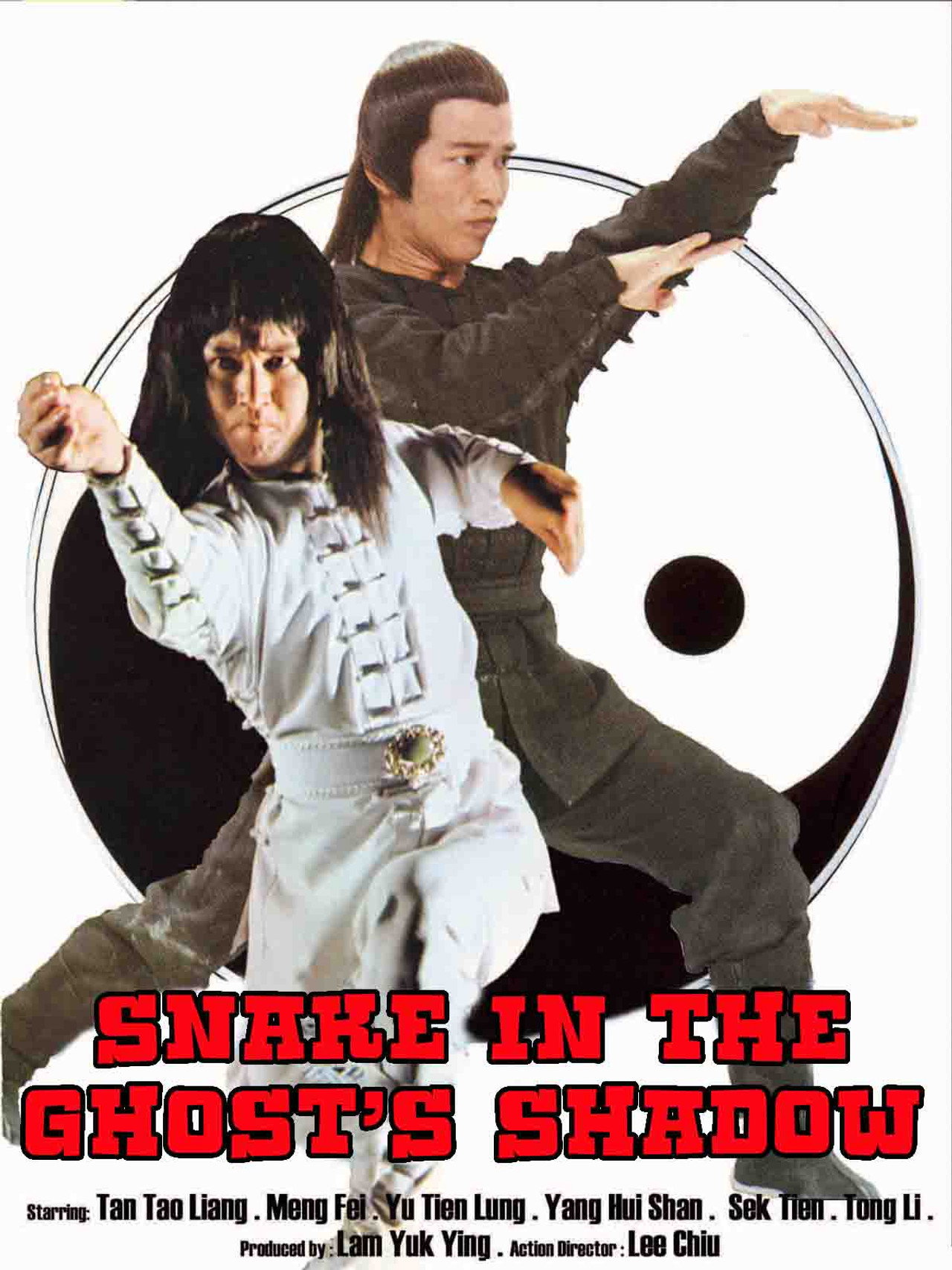 Snake In The Ghosts Shadow filmaffisch