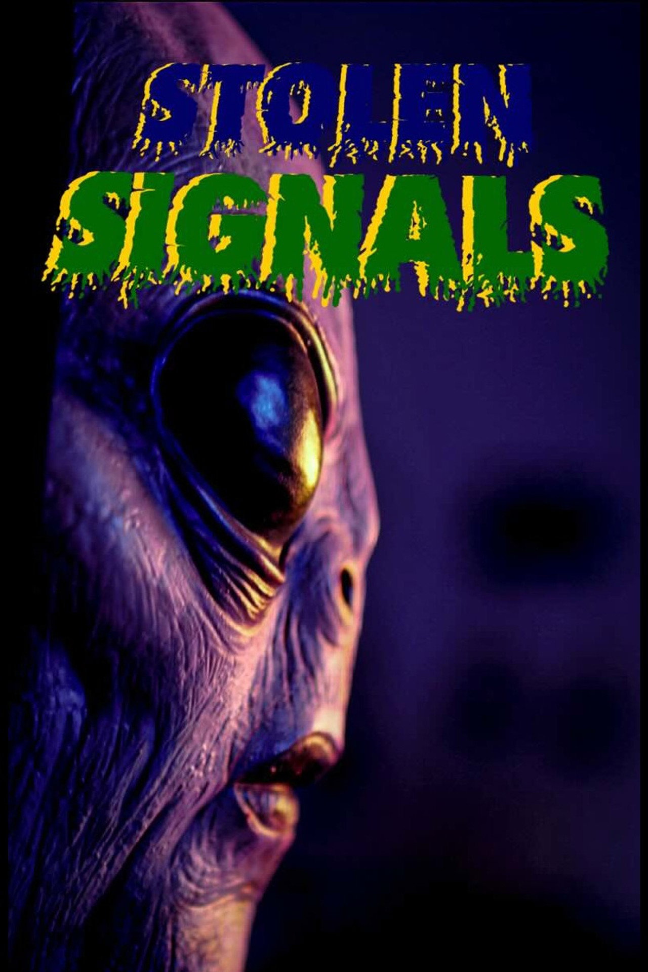 Stolen Signals filmaffisch