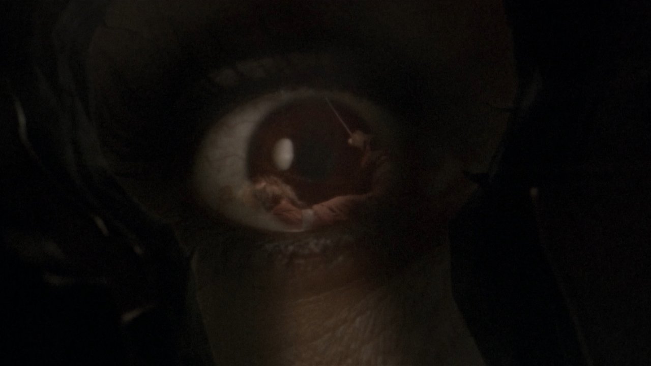 Wrong Turn (2003)