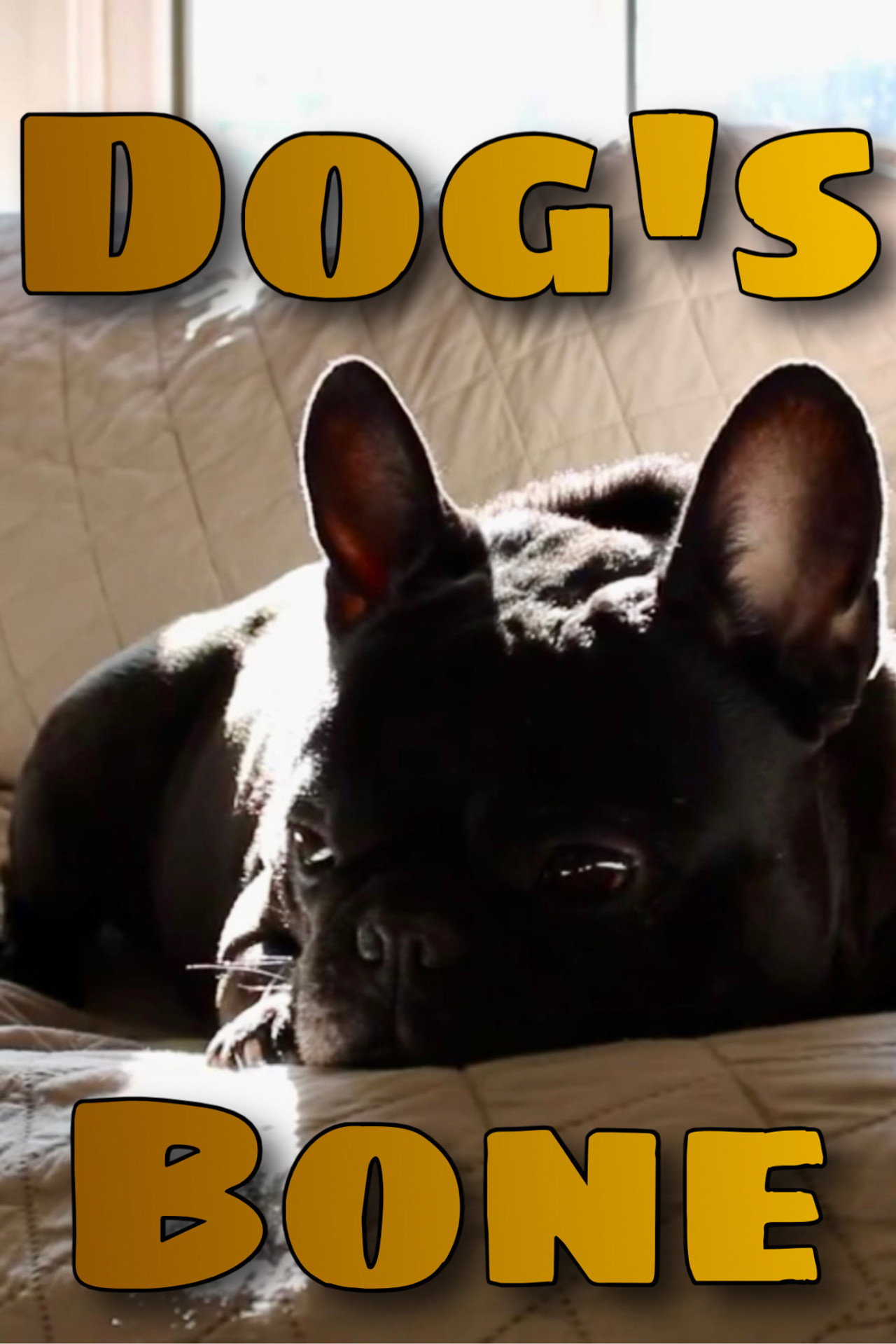 Dog's Bone