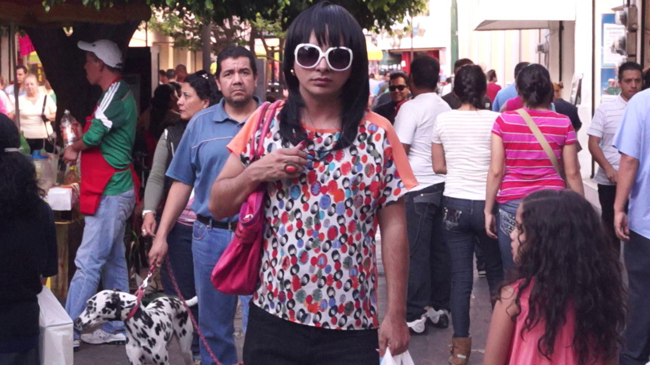 The Life We Have Chosen backdrop