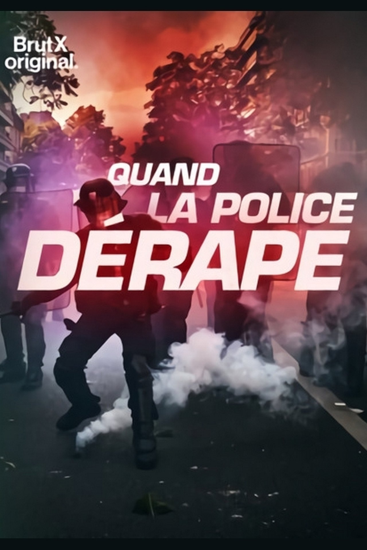 Quand la police dérape 2020