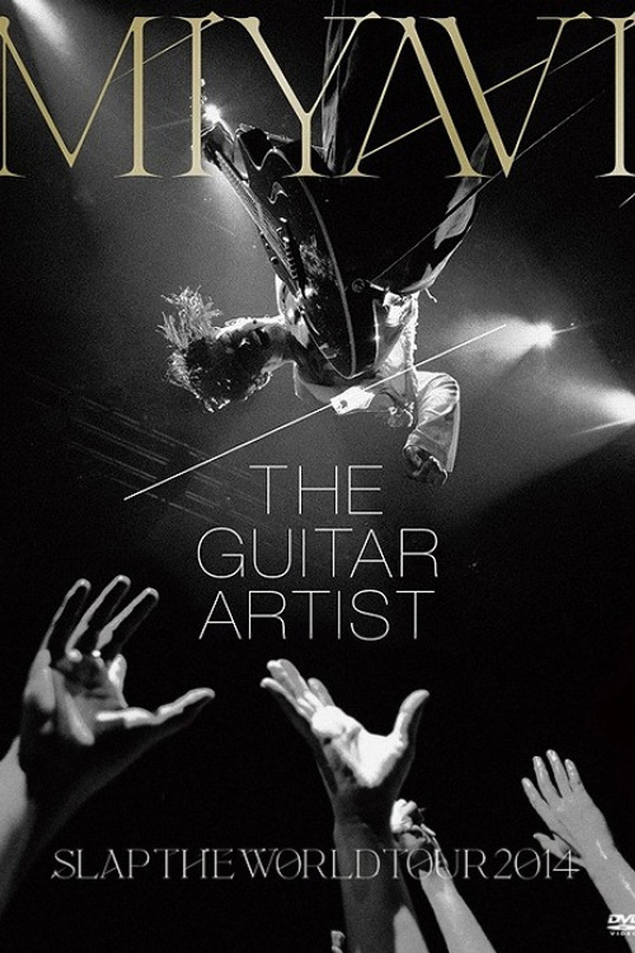 MIYAVI - SLAP THE WORLD TOUR FINAL 2014 AT ZEPP DIVERCITY,  TOKYO, JAPAN Backdrop