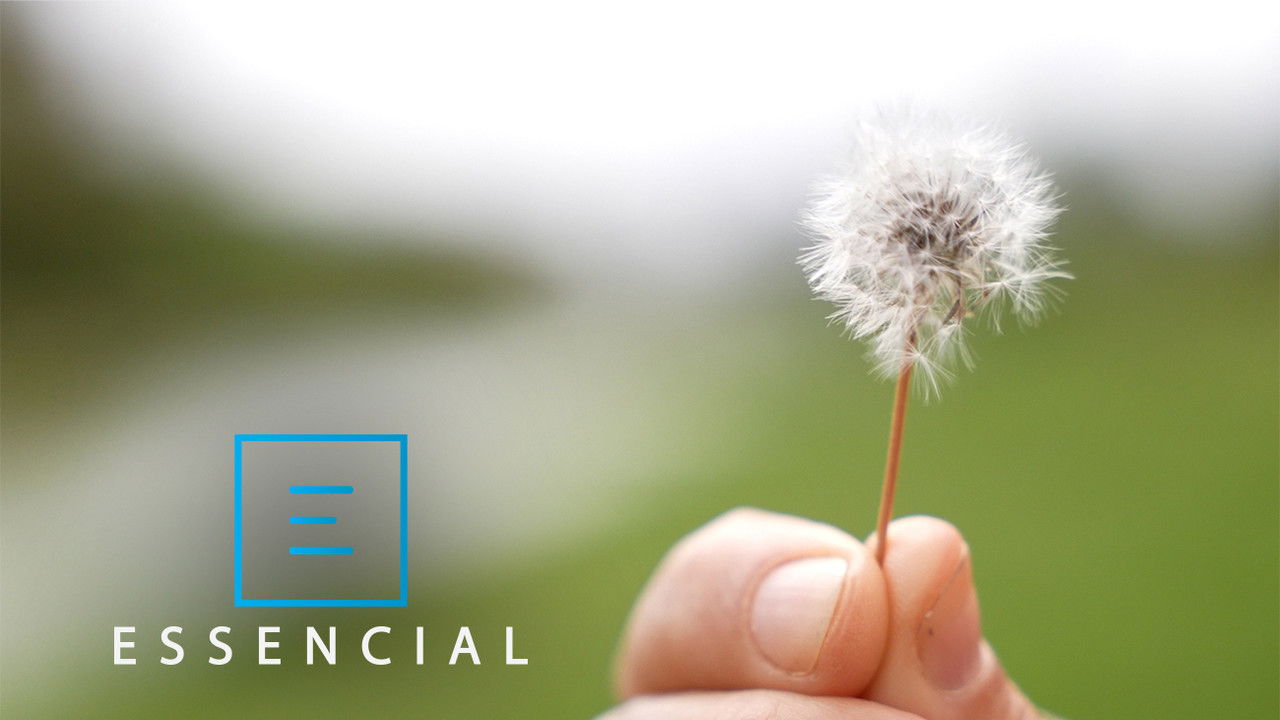 Essential - Season 6 Episode 4 : Episode 4