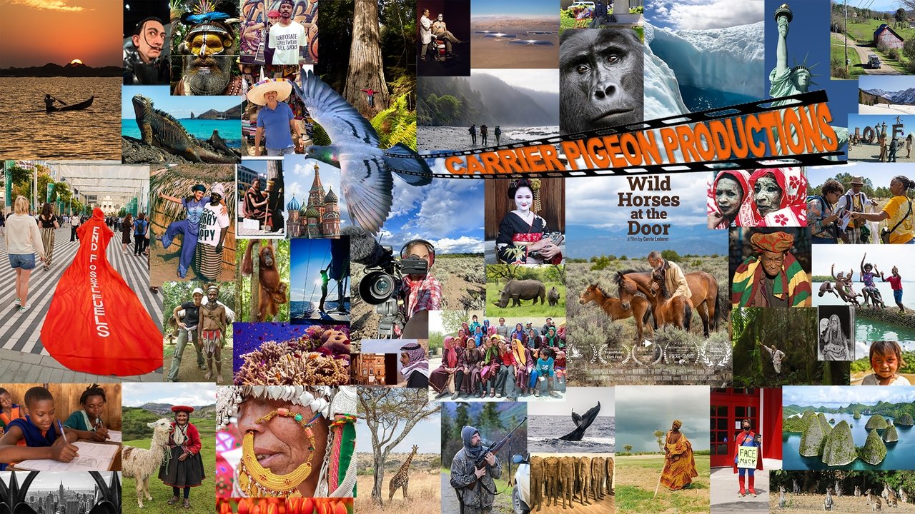 Wild Horses at the Door