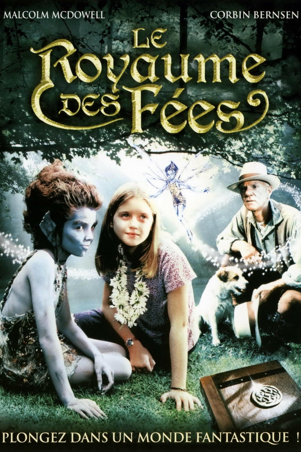 Le Royaume des fées poster