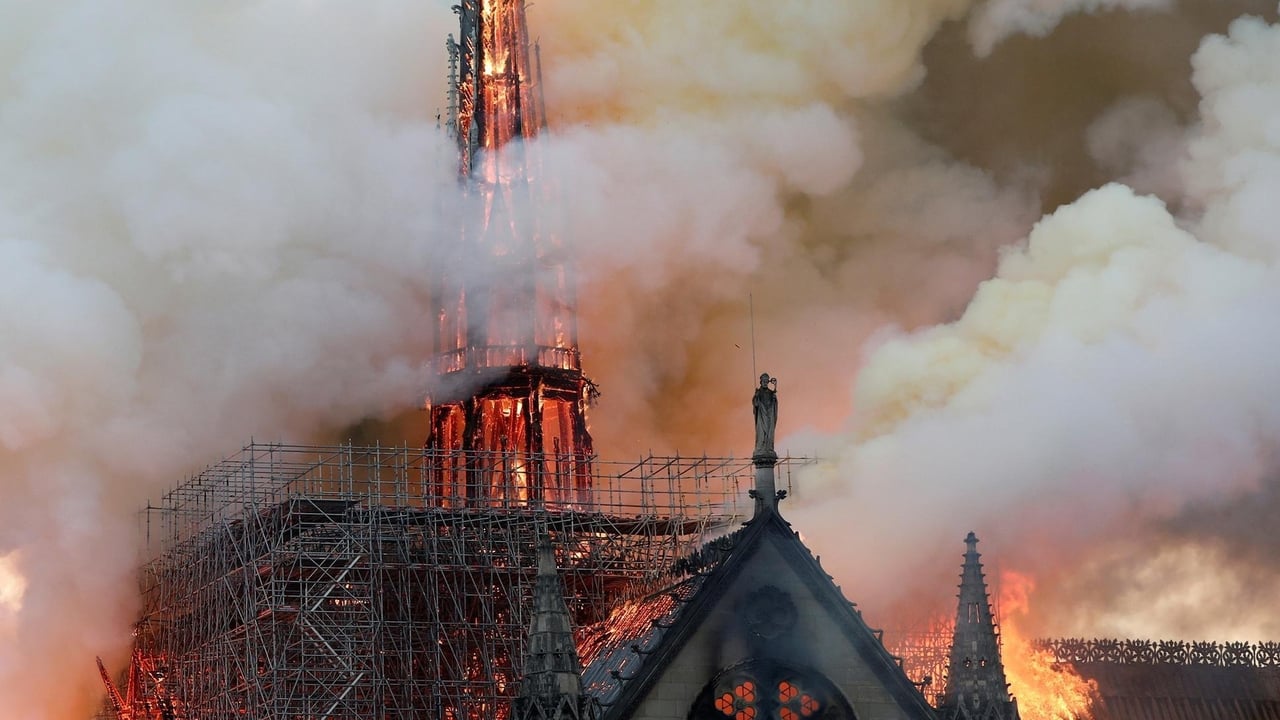 NOVA - Season 47 Episode 16 : Saving Notre Dame