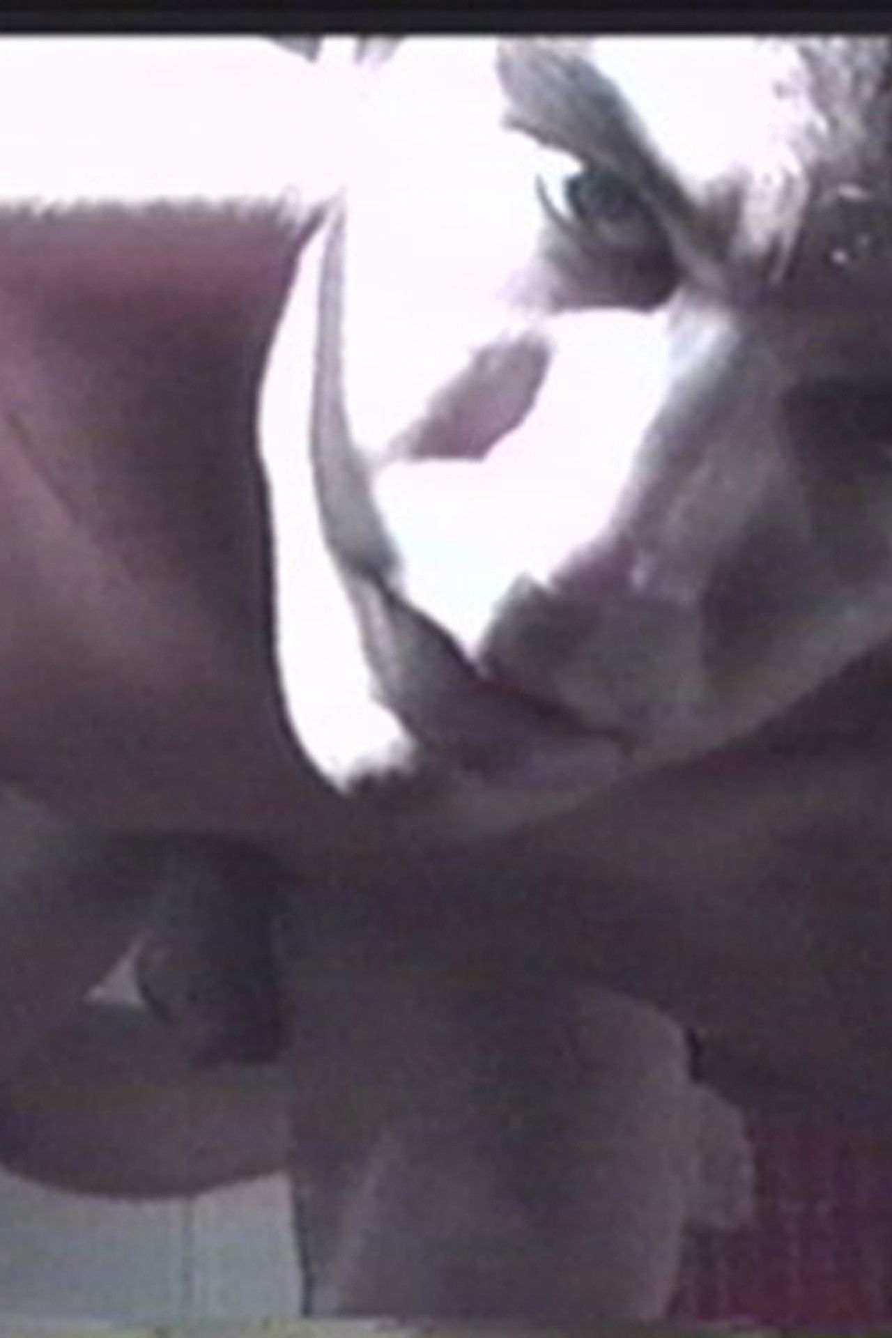 Water into Fire Backdrop