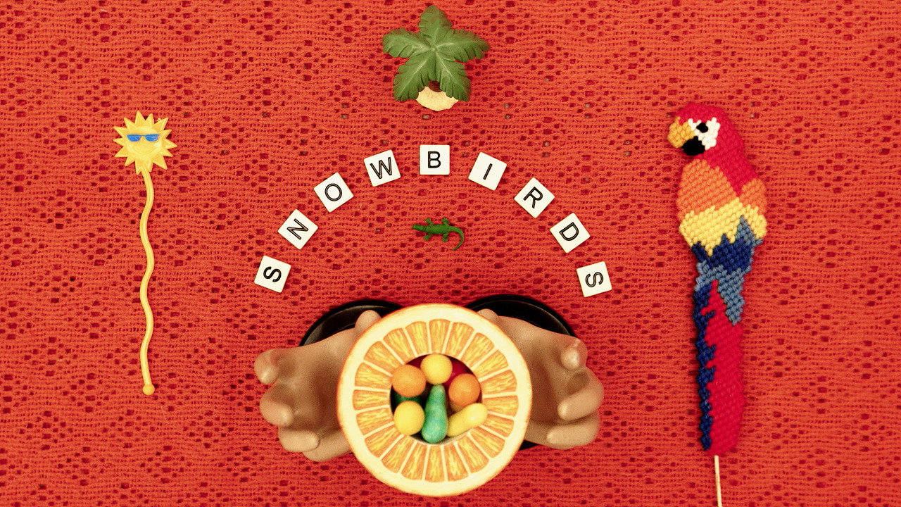 Backdrop CBC Short Docs Season 1 Episode 80