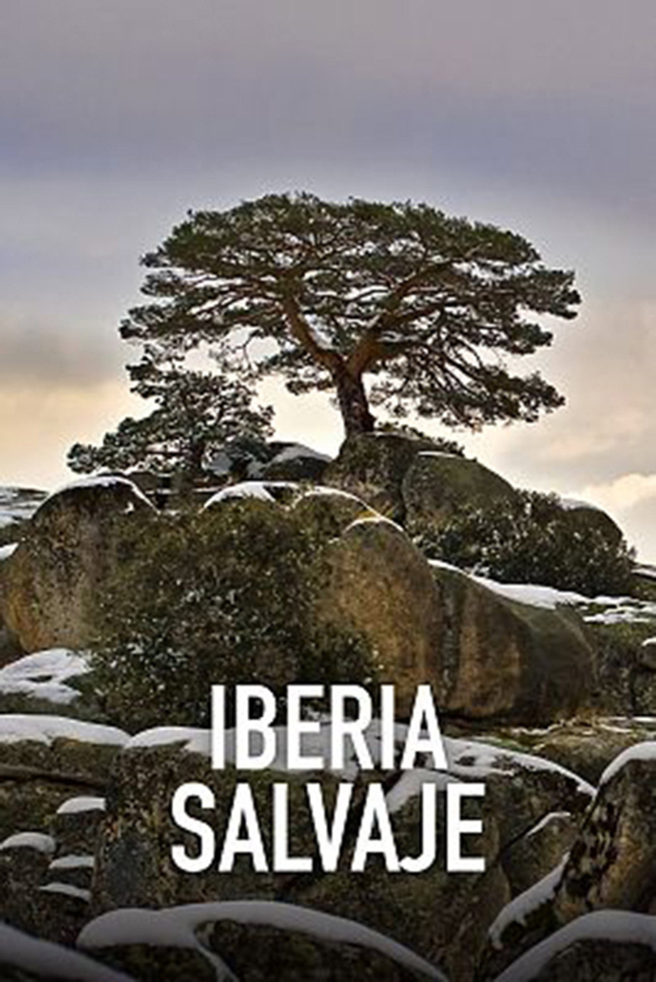 Iberia Salvaje affisch