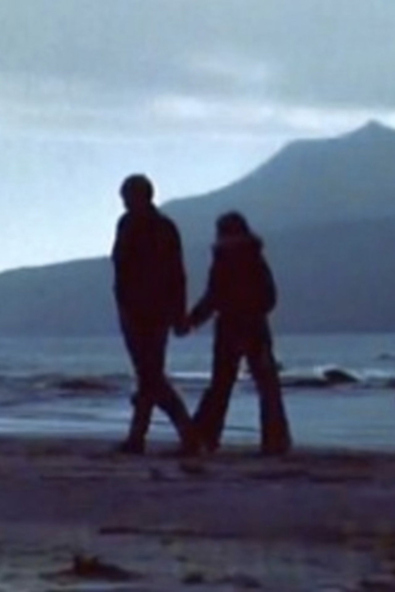 Heystblómur Backdrop