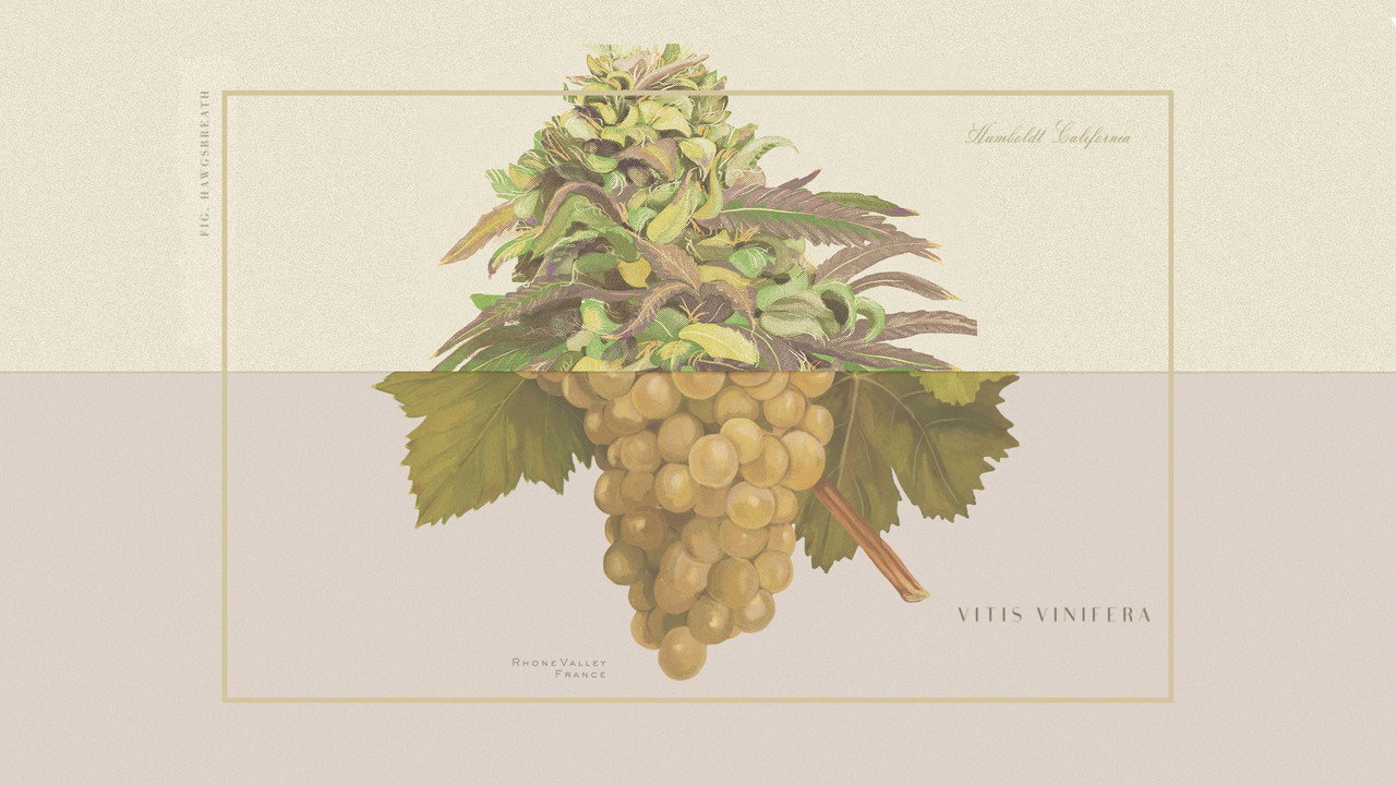 Weed & Wine still 2